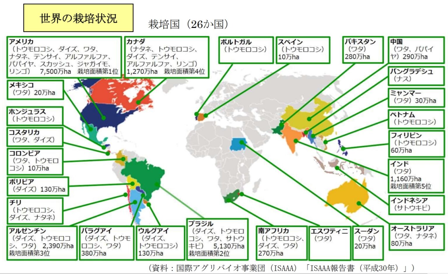 遺伝子組み換えされた木はより多くのCO2を吸収しますか?